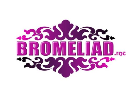 BROMELIAD